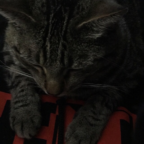 Meet your Posher, Rider - Picture 1 of 1